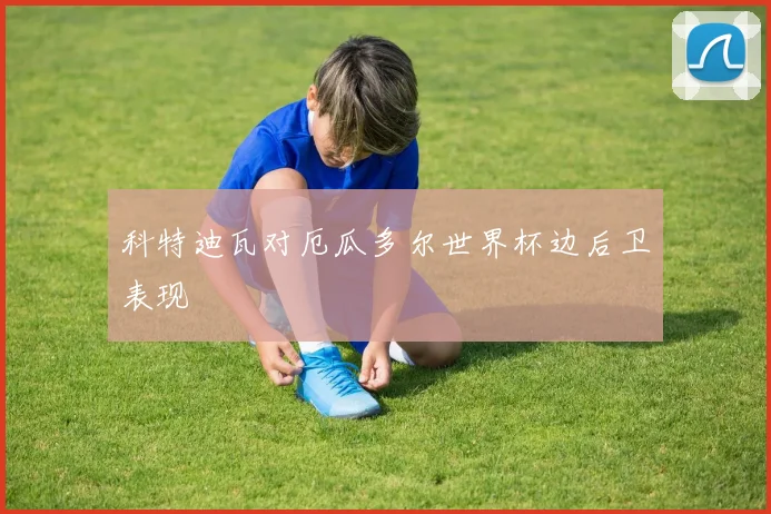 科特迪瓦对厄瓜多尔世界杯边后卫表现