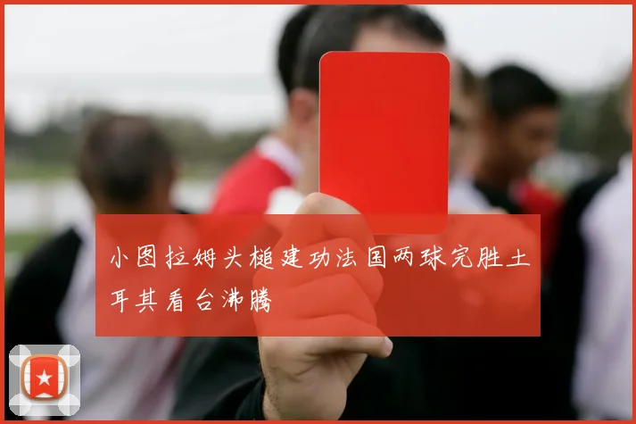 小图拉姆头槌建功法国两球完胜土耳其看台沸腾