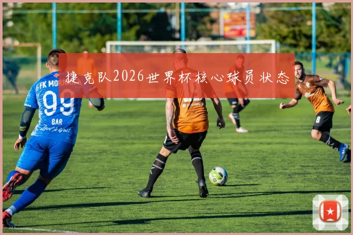 捷克队2026世界杯核心球员状态