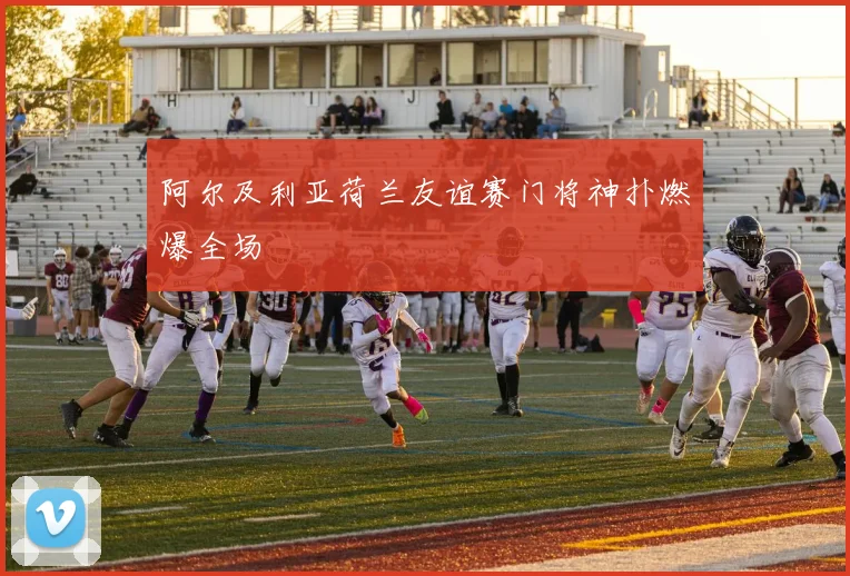 阿尔及利亚荷兰友谊赛门将神扑燃爆全场