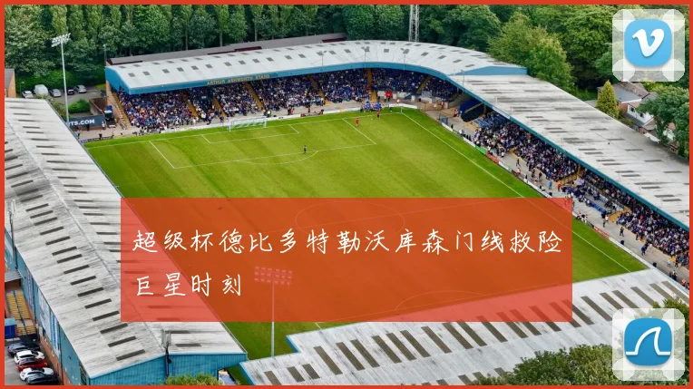 超级杯德比多特勒沃库森门线救险巨星时刻