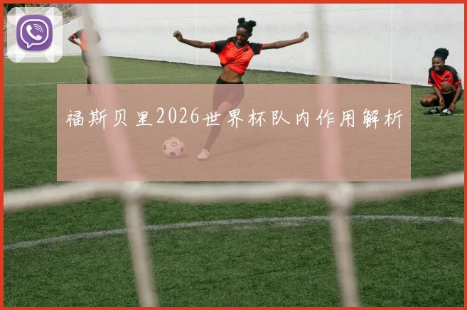 福斯贝里2026世界杯队内作用解析