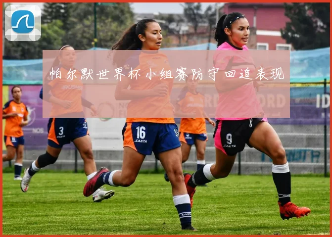 帕尔默世界杯小组赛防守回追表现