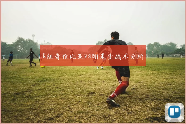 K组哥伦比亚vs刚果金战术分析