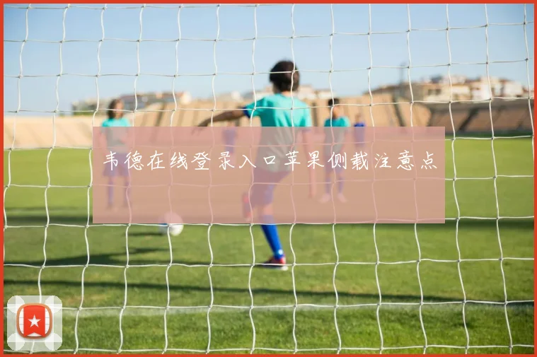 韦德在线登录入口苹果侧载注意点