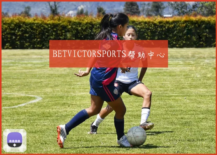 BETVICTORSPORTS帮助中心