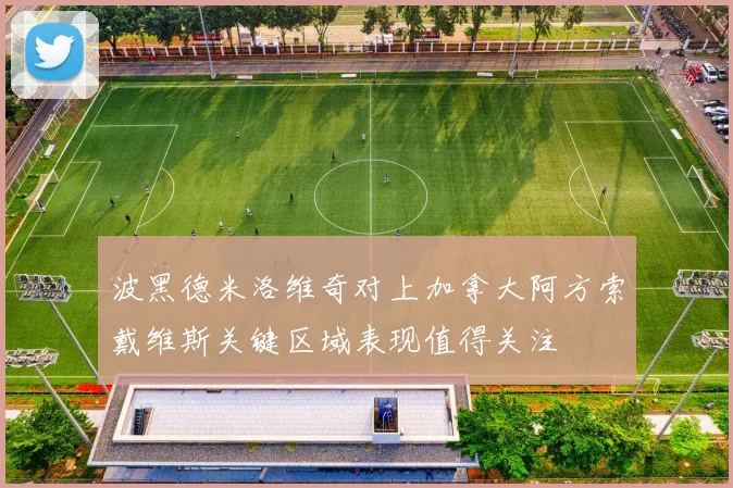 波黑德米洛维奇对上加拿大阿方索戴维斯关键区域表现值得关注